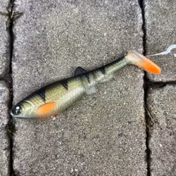 GigabiteV2 Baby Perch 14cm