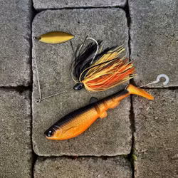 Skitmört Pike Combo