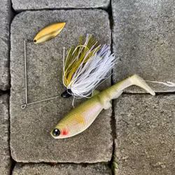 Setsuki Ayu Pike Combo