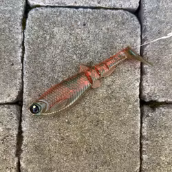 GigabiteV2 Mälaroil 14cm