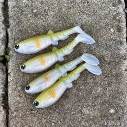 GigabiteV2 Setsuki Ayu 8cm - 4pcs