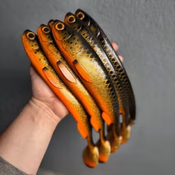 Gigashad Golden Roach 33cm
