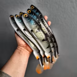 Gigashad Baby Perch 33cm