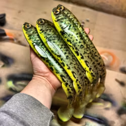 Gigashad Kiwi Burbot 33cm