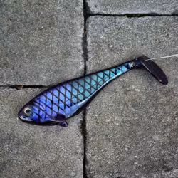 Snackbite 80 talaren 16cm