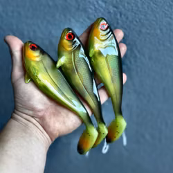 Snackbite Tinca 16cm