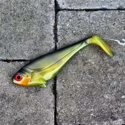 Snackbite Tinca 16cm