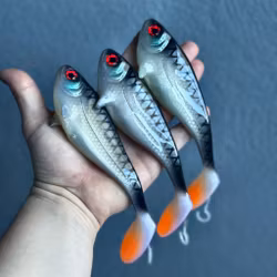 Snackbite Roach 16cm