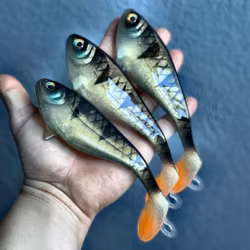 Snackbite Baby Perch 16cm