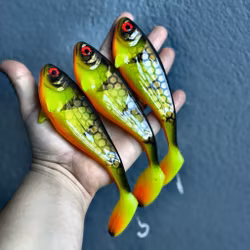 Snackbite Black Perch 16cm