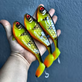 Snackbite Black Perch 16cm