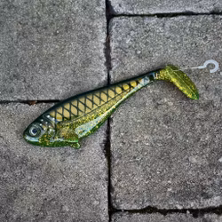 Snackbite Motoroil Bream 16cm