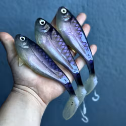 Snackbite Sikn II 16cm