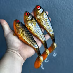 Snackbite Golden Shiner 16cm