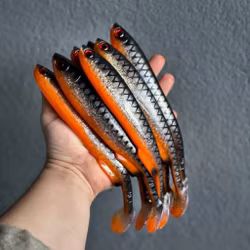 Gigashad Sucker Punch UV 24cm