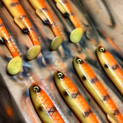 Gigashad Sunset 24cm