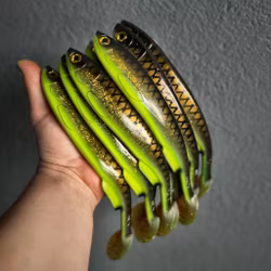 Gigashad Hot Motoroil Bream 24cm