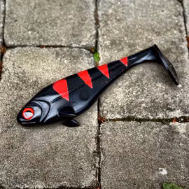 Snackbite Reversed Tiger 21cm