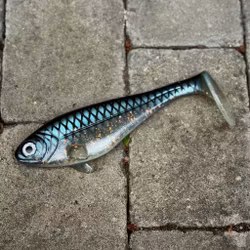 Snackbite Sill Royale 21cm