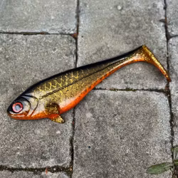 Snackbite Golden Roach 21cm