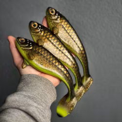 Snackbite Hot Motoroil Bream 21cm