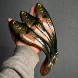 Snackbite Motoroil Red Tiger 21cm