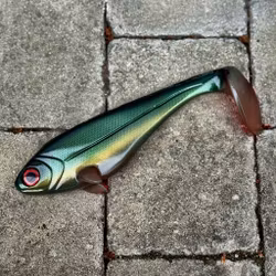 Snackbite Motoroil Tench 21cm