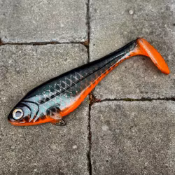 Snackbite Tropical Roach 21cm