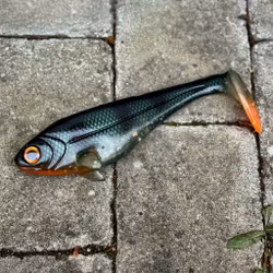 Snackbite Emerald Perch 21cm