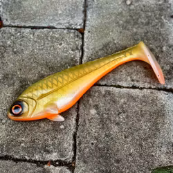 Snackbite Golden Olive 21cm