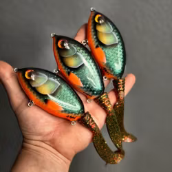 Ulm Tail - TG Special