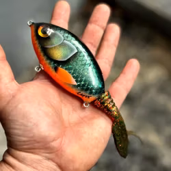 Ulm Tail - TG Special