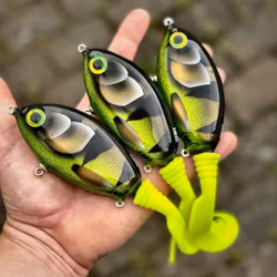 Ulm Tail - Mälartigern