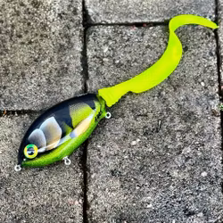 Ulm Tail - Mälartigern