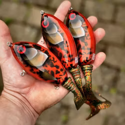 Ulm Tail - Red Motoroil Burbot