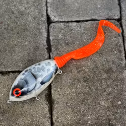 Ulm Tail - Albino Burbot