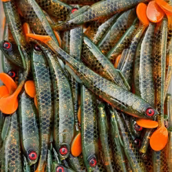 Gigashad 12,5cm Hot Motoroil Perch 3pcs