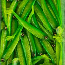 Gigashad 12,5cm Lime UV 3pcs