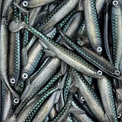 Gigashad 12,5cm Sparkling Smelt 3pcs