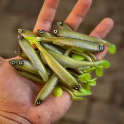 Gigashad Löjs 10cm - 5pcs