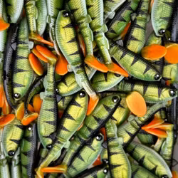 GigabiteV2 UV Perch 8cm - 4pcs