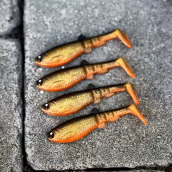 GigabiteV2 Golden Roach 8cm - 4pcs