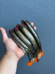 Gigashad Hot Baitfish 20cm