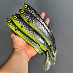 Gigashad Hot Belly Roach 27cm