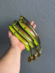 Gigashad Hot Motoroil Bream 27cm