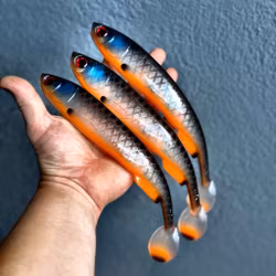 Gigashad Glas Fegisen 27cm