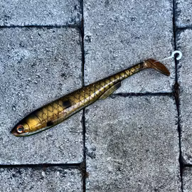 Gigashad Baby Brownoil 24cm