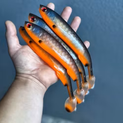 Gigashad Glas Fegisen 24cm