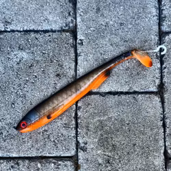 Gigashad Glas Fegisen 24cm