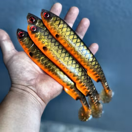 Gigashad Golden Sucker 24cm